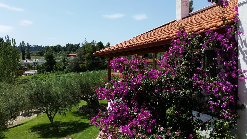 Amparoudes Apartamento Kriopigi Exterior foto